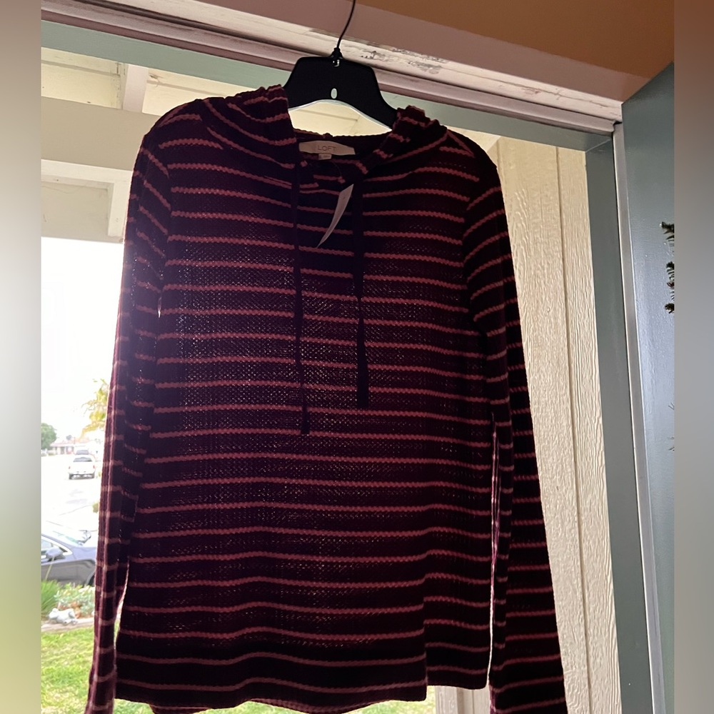 Burgundy and pink stripe hoodie